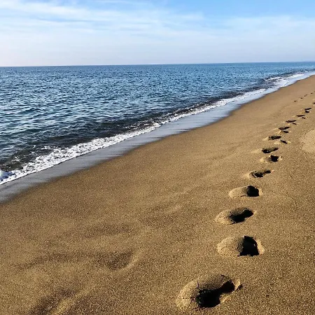 Appartamento Toscana Tour - Agriturismo San Maurizio Anna